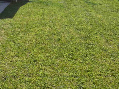 Lawn Care service in Clinton, 20735