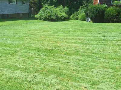 Lawn Care service in Steubenville, 43952