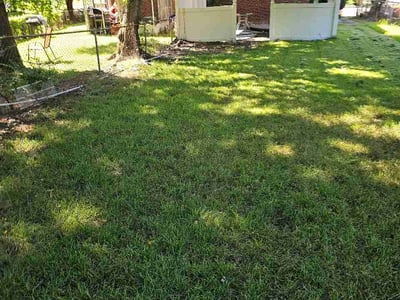 Lawn Care service in Temple Hills, 20748