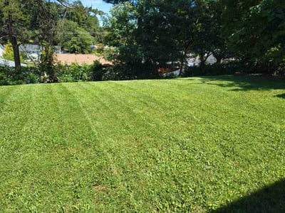 Lawn Care service in Oxon Hill, 20745
