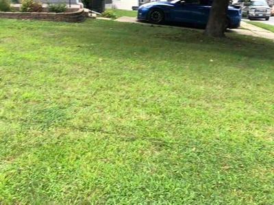 Lawn Care service in Joppa, 21085