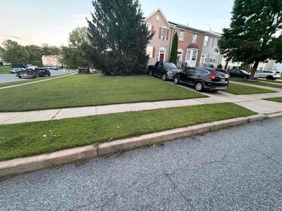Lawn Care service in Medford, 08055