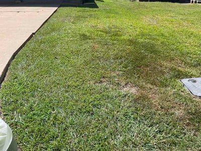 Lawn Care service in Brownsville, 78520