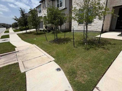 Lawn Care service in Brownsville, 78520