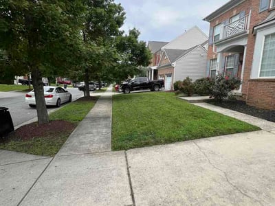 Lawn Care service in College Park, 20742