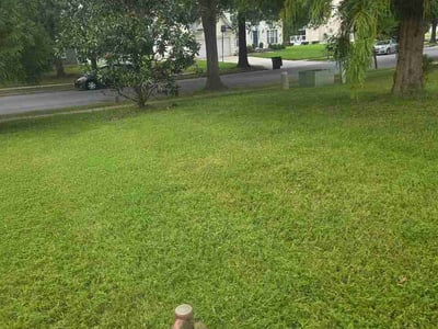 Lawn Care service in College Park, 20742