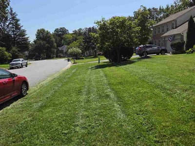 Lawn Care service in Centreville, 20120