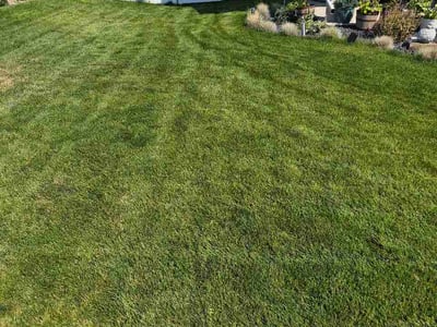 Lawn Care service in Cheney, 99004