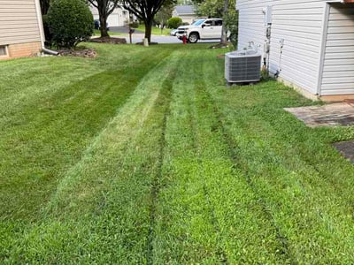 Lawn Care service in Centreville, 20120