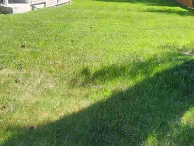 Lawn Care service in Cheney, 99004