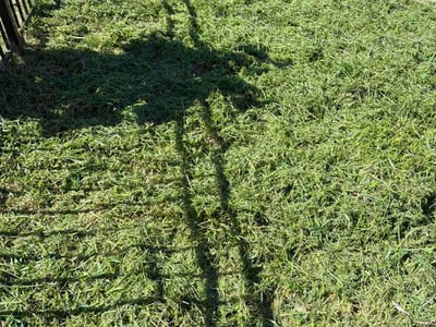 Lawn Care service in Gloucester City, 08030