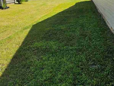 Lawn Care service in Jasper, 35501