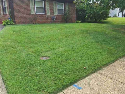 Lawn Care service in Gloucester City, 08030