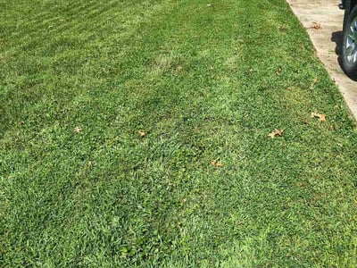 Lawn Care service in Belleville, 62220