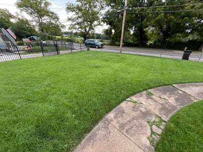 Lawn Care service in Belleville, 62220