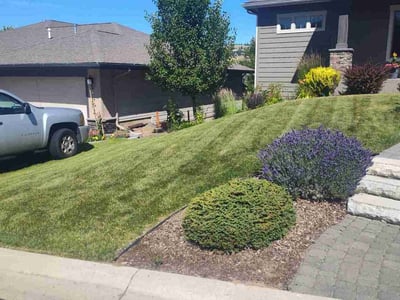 Lawn Care service in Mount Vernon, 98273