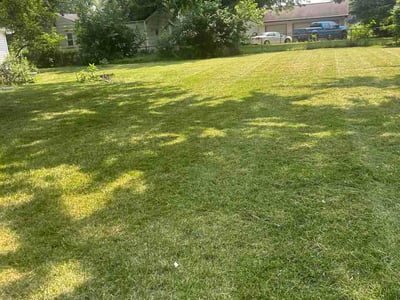 Lawn Care service in Morgantown, 26505