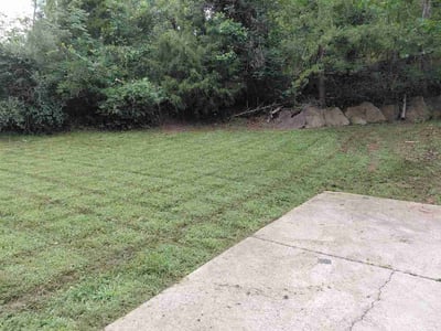 Lawn Care service in Wheeling, 26003