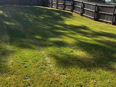 Lawn Care service in Locust Grove, 30248