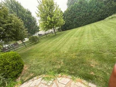 Lawn Care service in Perrysburg, 43551