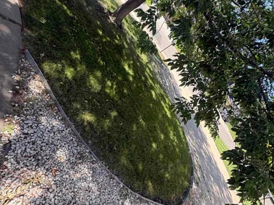 Lawn Care service in Pueblo, 81003