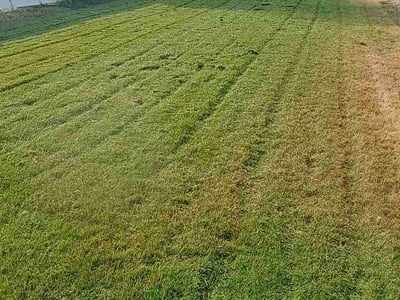 Lawn Care service in Colville, 99114