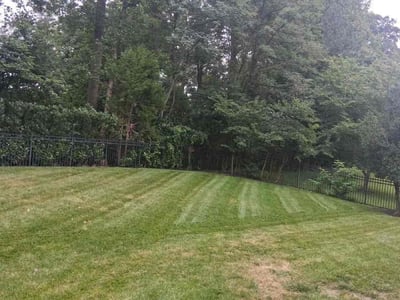 Lawn Care service in Bristow, 20136