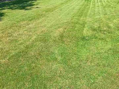 Lawn Care service in Colville, 99114