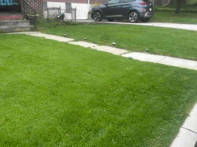 Lawn Care service in Hampstead, 21074