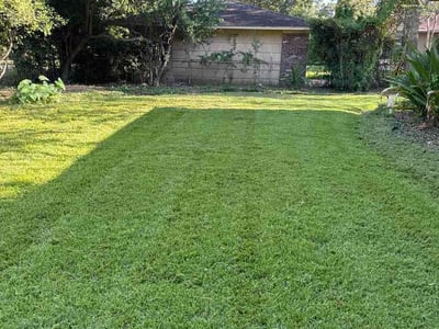 Lawn Care service in Orange, 77630