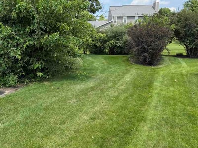 Lawn Care service in Pewaukee, 53072
