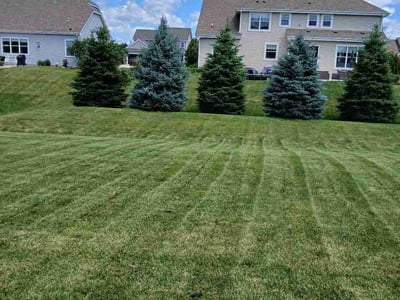 Lawn Care service in Pewaukee, 53072