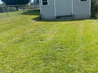 Lawn Care service in Bluefield, 24701