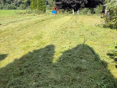 Lawn Care service in Pewaukee, 53072