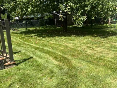 Lawn Care service in Wausau, 54403