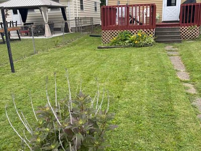 Lawn Care service in Wausau, 54403