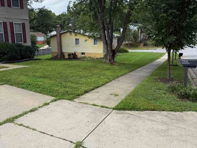 Lawn Care service in Fort Washington, 20744
