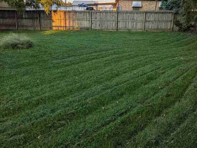 Lawn Care service in O Fallon, 62269