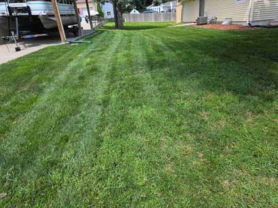 Lawn Care service in Carbondale, 62901