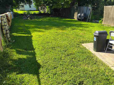 Lawn Care service in O Fallon, 62269