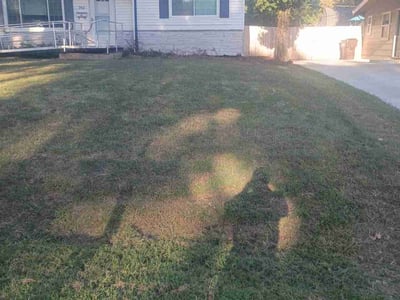 Lawn Care service in Derby, 67037