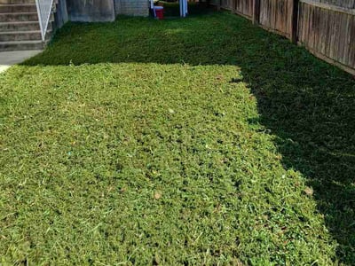 Lawn Care service in Washington, 07882