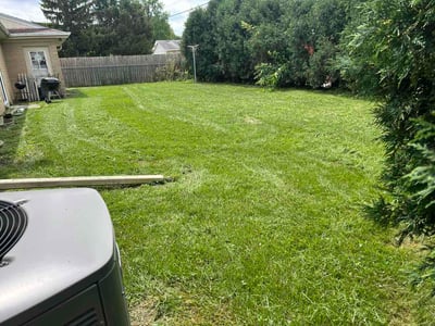 Lawn Care service in Elm Grove, 53122