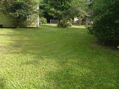 Lawn Care service in Odessa, 79761