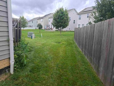 Lawn Care service in Gainesville, 20155