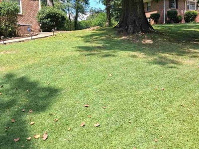 Lawn Care service in Montevallo, 35115