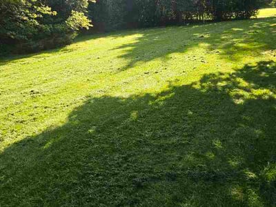 Lawn Care service in Elm Grove, 53122