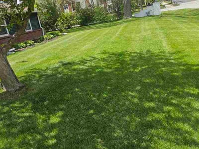 Lawn Care service in Elm Grove, 53122