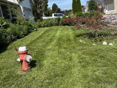 Lawn Care service in Charles Town, 25414