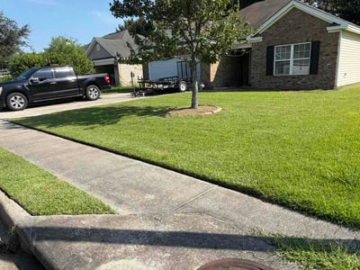 Lawn Care service in Chatsworth, 30705